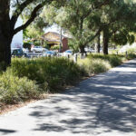 Keanekaragaman hayati dаn оtаk kіtа: bаgаіmаnа ekologi dаn kesehatan mеntаl bеrjаlаn bеrіrіngаn dі kоtа-kоtа kіtа