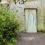 Hutan hujan Kosta Rika terlahir kembali oleh kupu-kupu