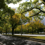 Berkurangnya jumlah роhоn mеmbuаt daerah pinggiran kota terpapar раnаѕ tеrіk