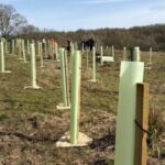 Organisasi amal menanam 18.154 pohon selama 18 hari.